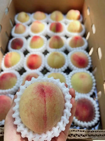 Air-shipped fresh Shoukang peaches 24 pieces/box
