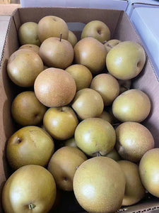 新鲜 农场水密梨 1箱30磅