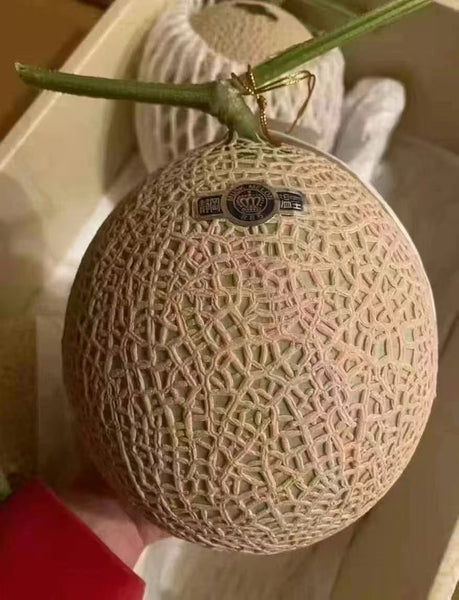 空运新鲜 日本静冈蜜瓜 1颗