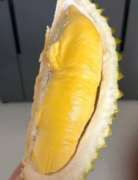 【Frozen】Mao Shan Wang Durian Ripe from High Mountain Trees