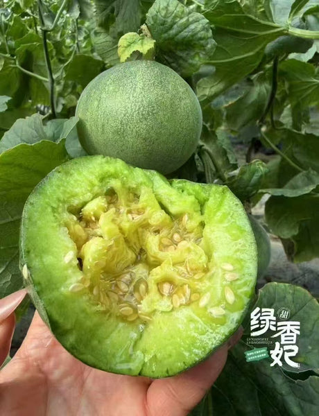 空运新鲜 绿宝石甜瓜 5磅（非纽约地区下单前请咨询客服邮费）