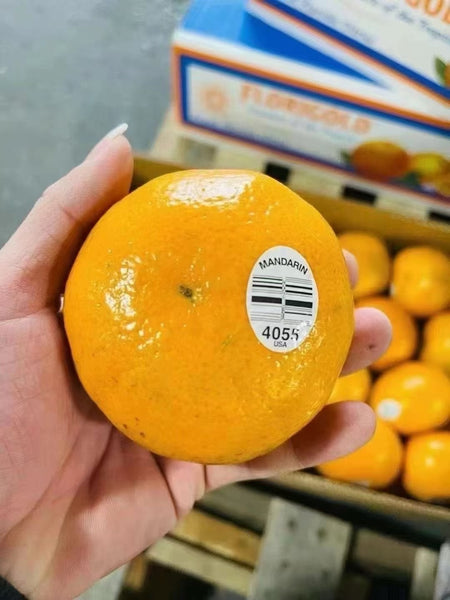 空运新鲜 4055蜜橘 1箱40粒