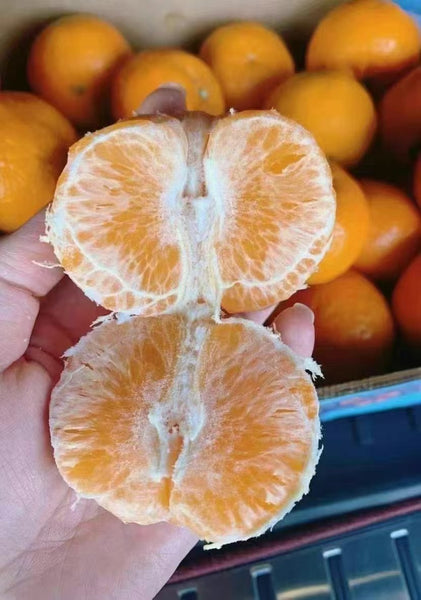 空运新鲜 墨西哥蜜橘 1箱22磅