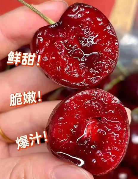 空运新鲜 农场红樱桃 5磅（非纽约地区下单前请咨询客服邮费）