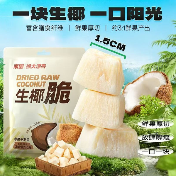 南国生椰 脆椰子肉干50g