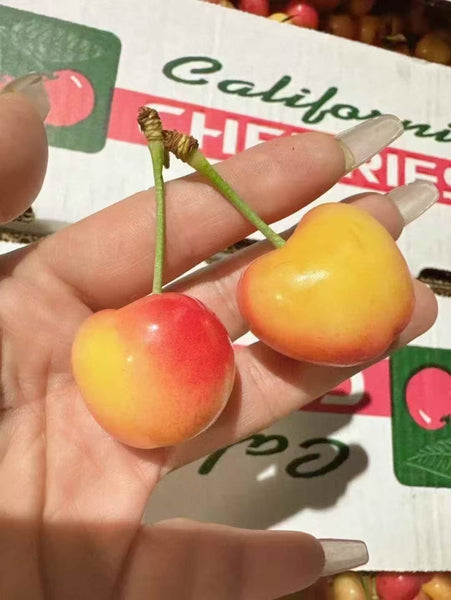 空运新鲜 黄樱桃 1箱16磅