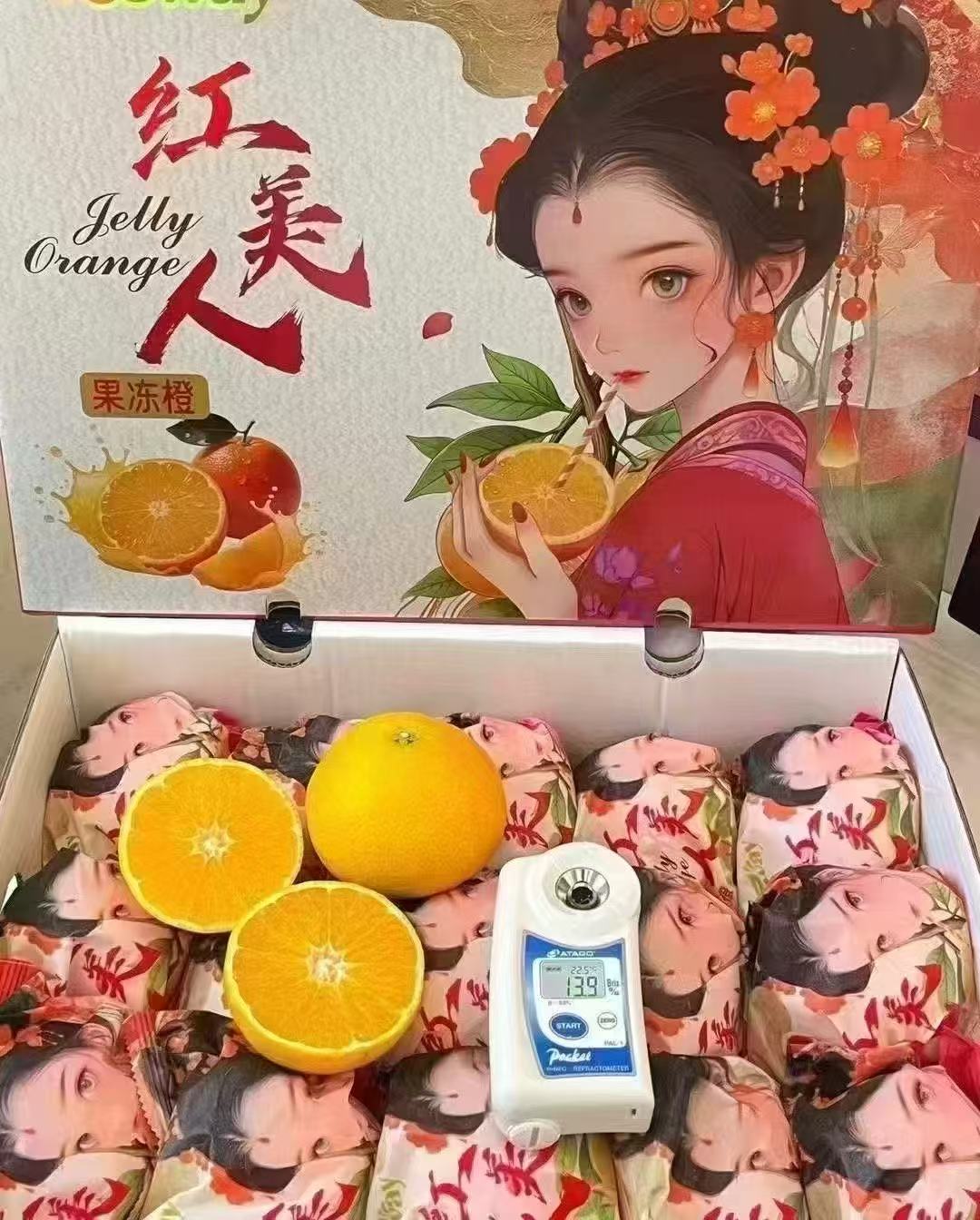 红美人果冻橙 1盒12粒5.5磅