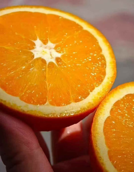 空运新鲜 澳洲甜橙 1箱