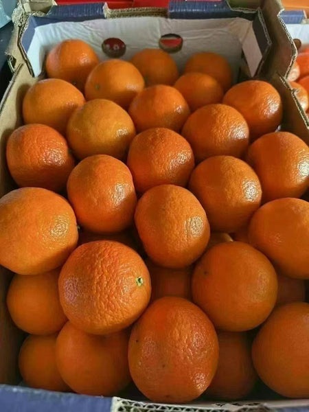 空运新鲜 墨西哥蜜橘 1箱22磅