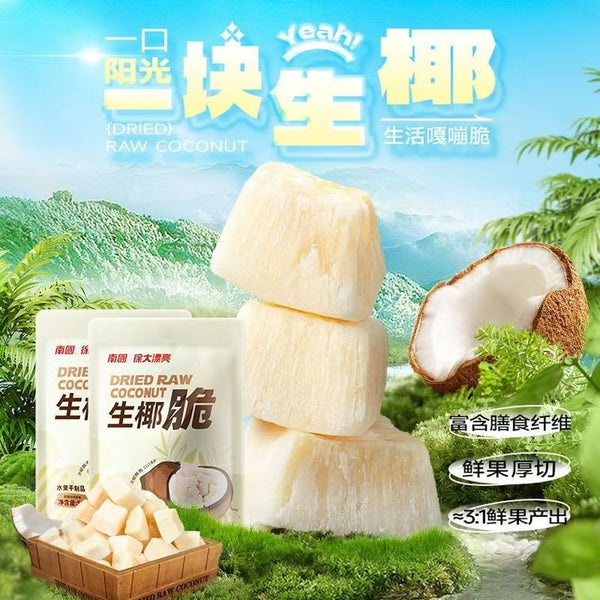 南国生椰 脆椰子肉干50g