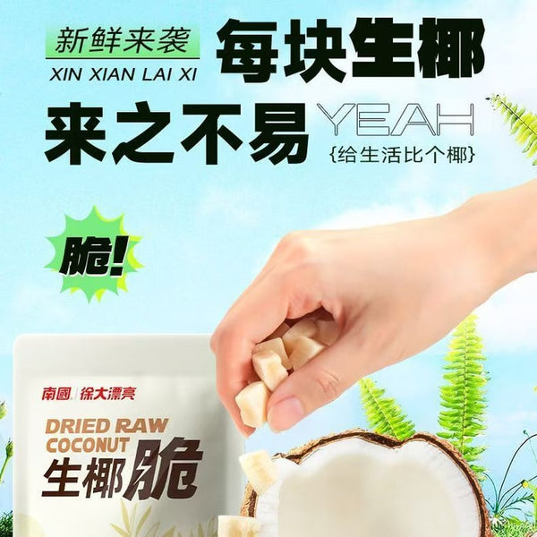 南国生椰 脆椰子肉干50g