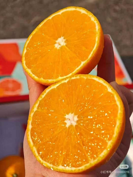 空运新鲜 甜桔柚 1盒12颗