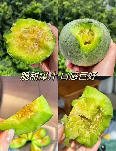 空运新鲜 绿宝石甜瓜 5磅（非纽约地区下单前请咨询客服邮费）