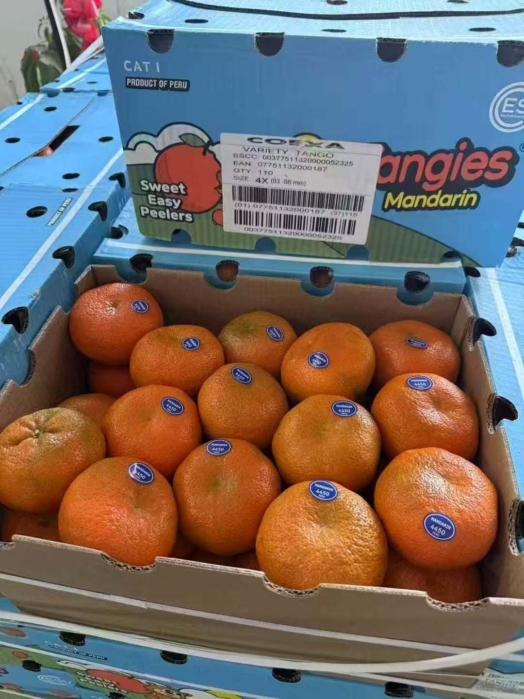 空运新鲜 无籽蜜桔