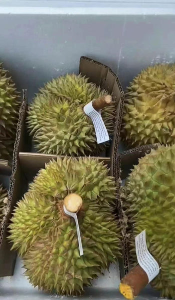 空运新鲜 泰国金枕头榴莲