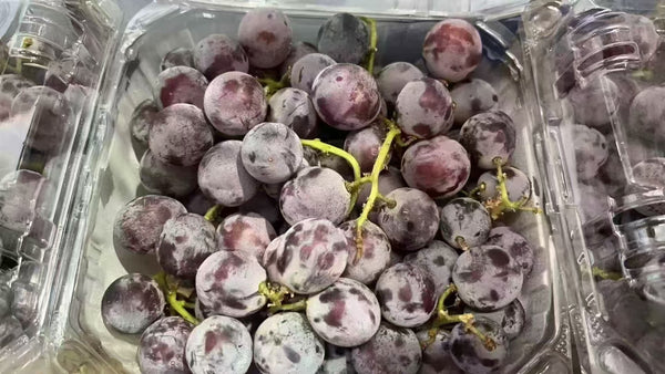 Fresh Kyoho grapes shipped by air