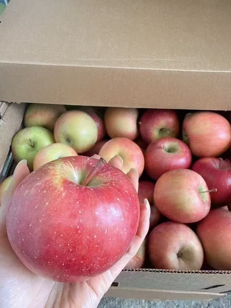 空运新鲜 农场富士苹果 1箱20-22磅