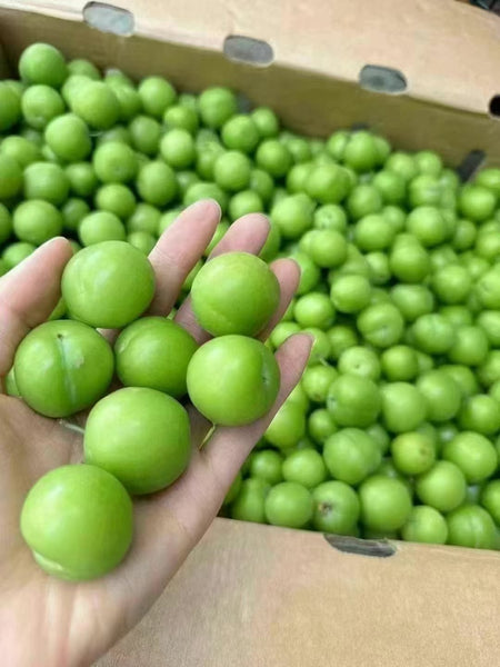 空运新鲜 青李子