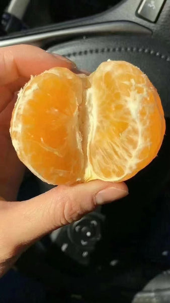 空运新鲜 4055蜜橘 1箱40粒