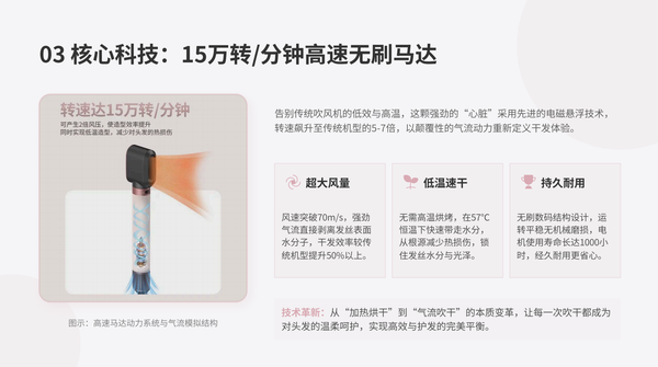 多功能造型吹风机 落日玫瑰 风嘴6件套（吹干 卷发 波浪 直发 顺滑 蓬松）110V