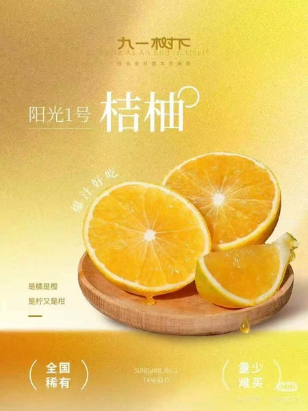 空运新鲜 甜桔柚 1盒12颗