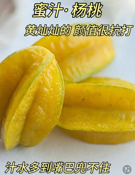 空运新鲜 杨桃 1箱20磅