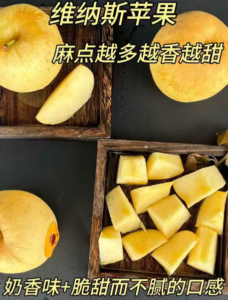 空运新鲜 维纳斯苹果