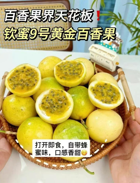 空运新鲜 钦蜜九号百香果