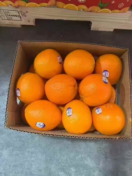 空运新鲜 Sunkist橙子 1箱10磅装