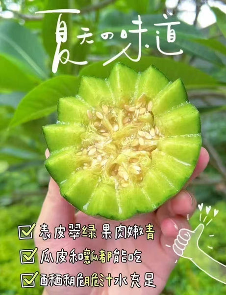 空运新鲜 绿宝石甜瓜 5磅（非纽约地区下单前请咨询客服邮费）