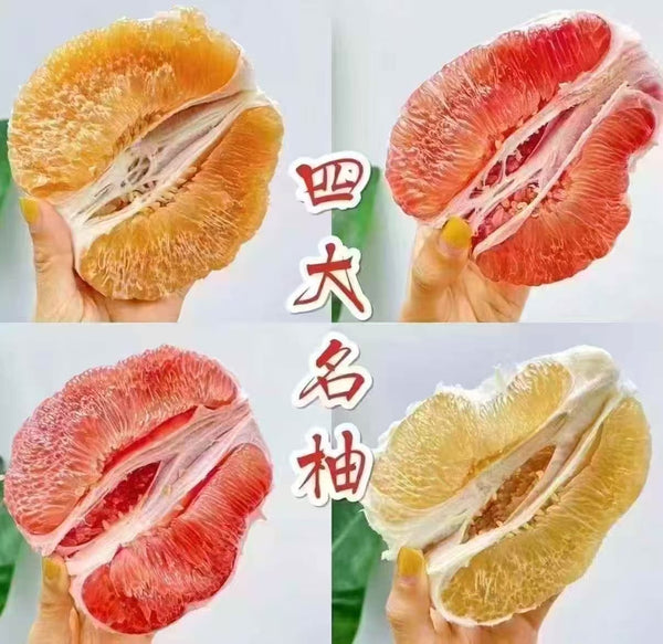 四大名柚 1盒8.8磅