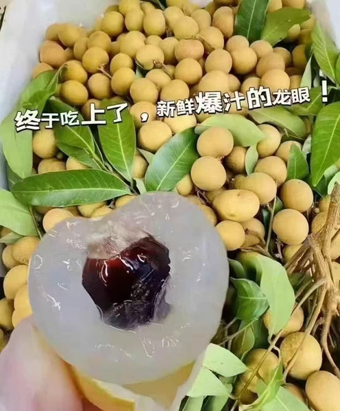 Air transport of fresh longan