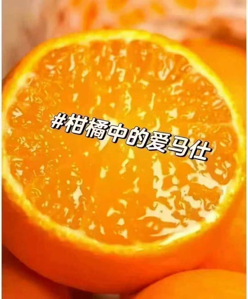 红美人果冻橙 1盒12粒5.5磅