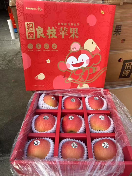 空运新鲜 良枝富士苹果 1盒9颗