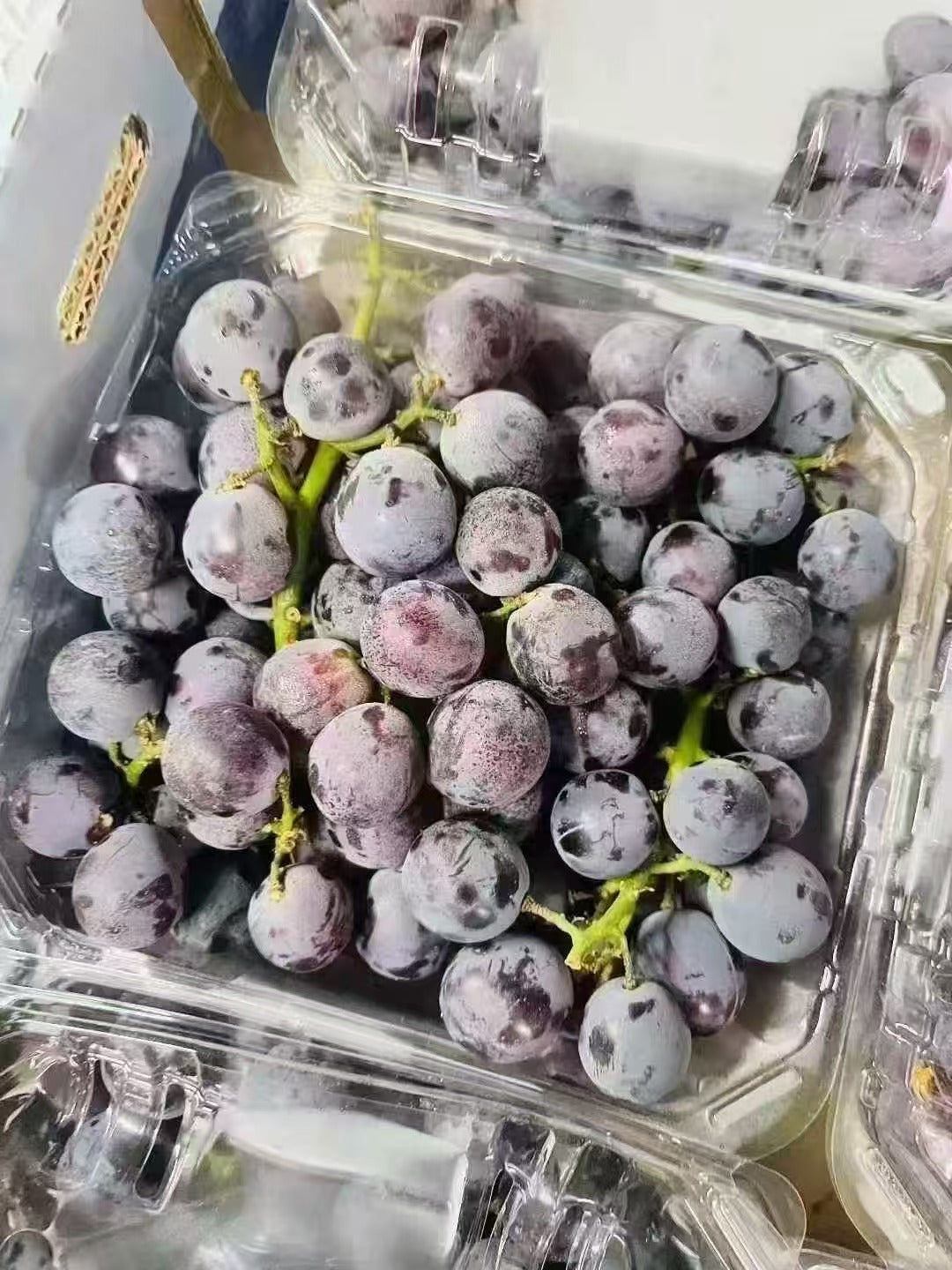 Fresh Kyoho grapes shipped by air