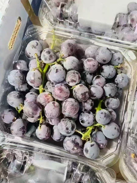 Fresh Kyoho grapes shipped by air