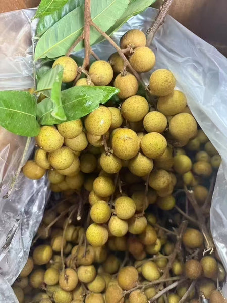 Air transport of fresh longan