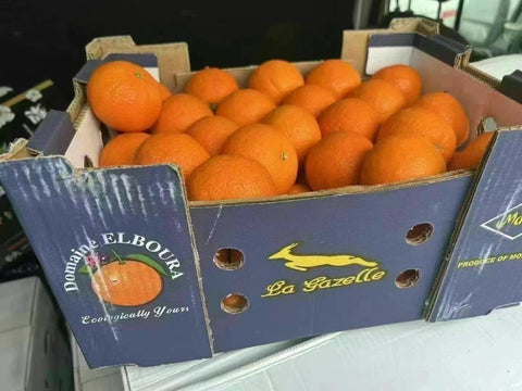 空运新鲜 墨西哥蜜橘 1箱22磅