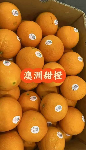 空运新鲜 澳洲甜橙 1箱